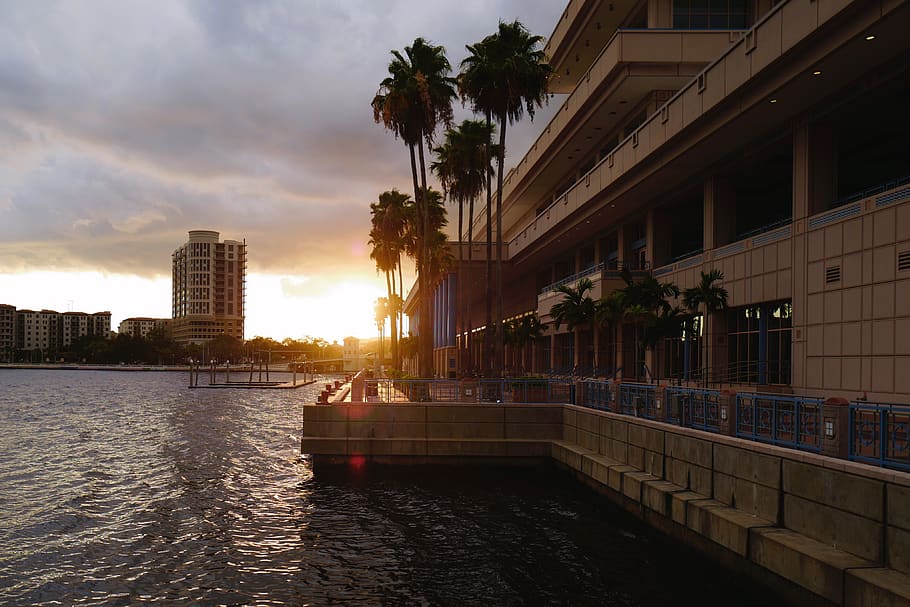 tampa-united-states-tampa-convention-cen