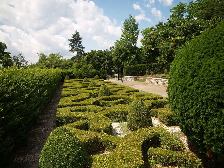 canada, hamilton, laking, ontario, garden, plant, tree, growth HD wallpaper