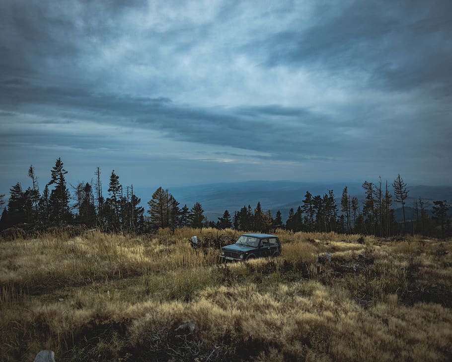 Black Jeep Wrangler Surrounded by Bush, clouds, daylight, environment HD wallpaper