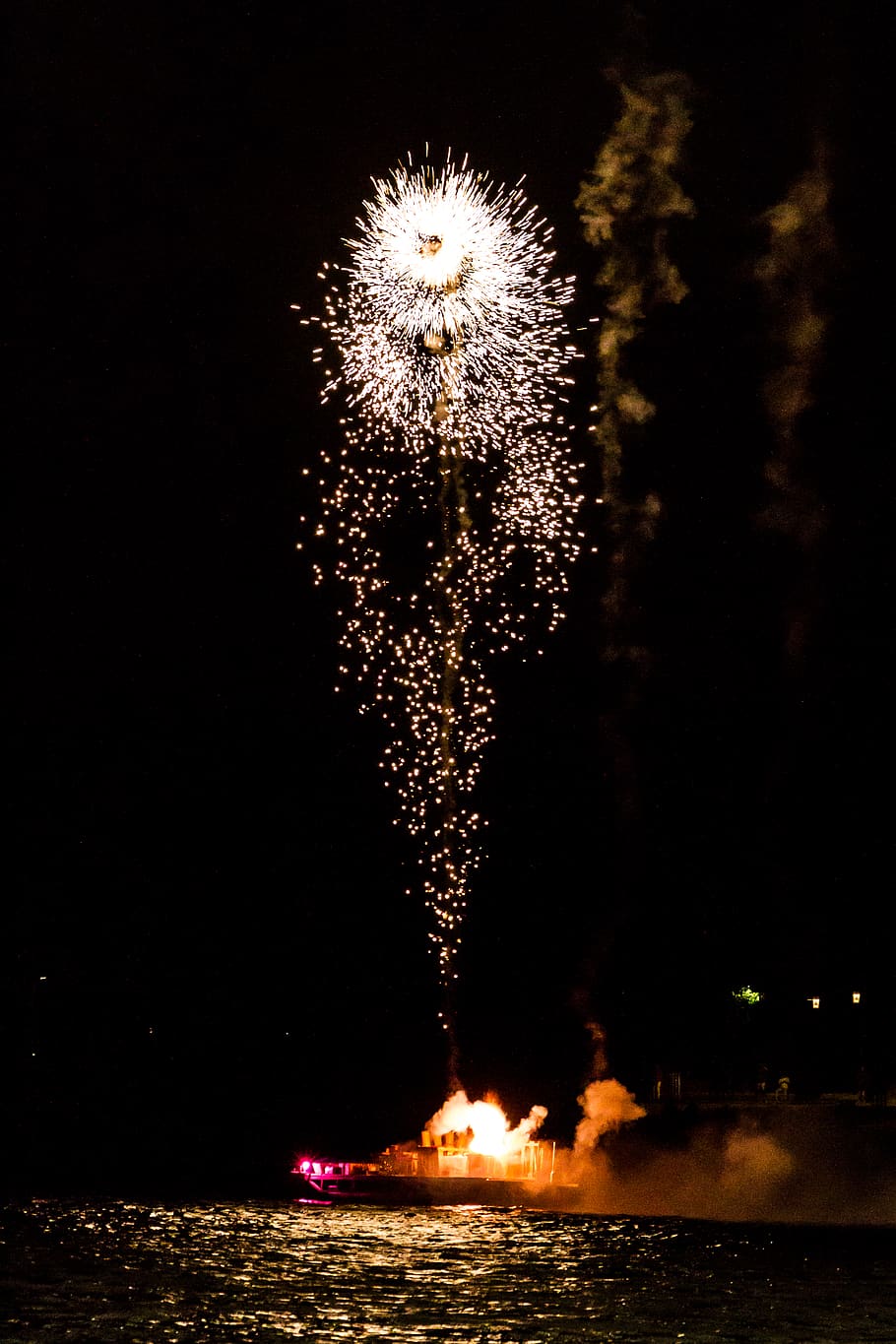 fireworks, bear, water, night, nature, illuminated, burning HD wallpaper