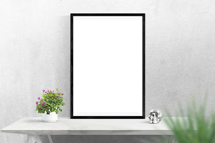 wall, poster, frame, plants, desk, flower, flowering plant HD wallpaper