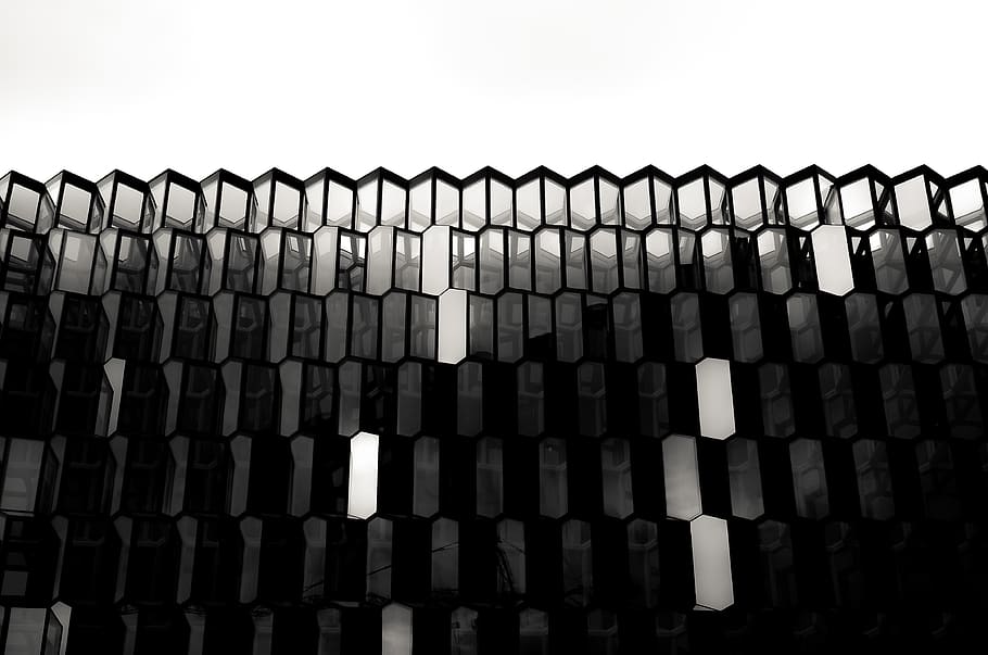 black and white floral textile, pattern, no people, repetition HD wallpaper