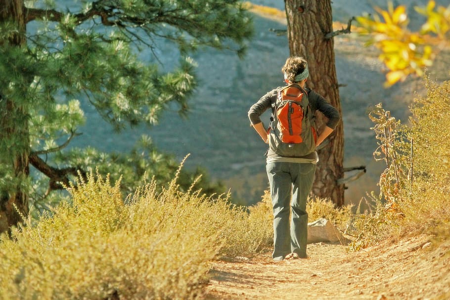 hiking, nature, backpack, journey, pathway, alone, pilgrimage HD wallpaper