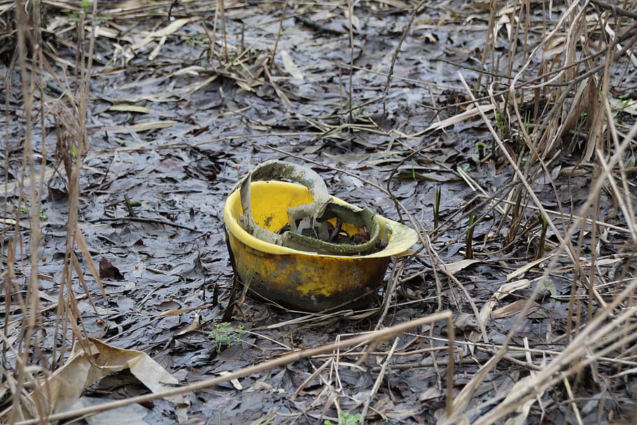helm, nature, yellow, no people, high angle view, day, plant HD wallpaper