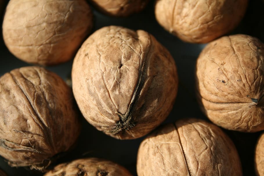 walnut, harvest, nuts, walnuts, shell, food, healthy, delicious HD wallpaper