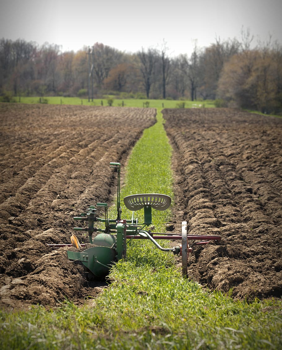 united states, dalton, plant, landscape, agriculture, rural scene HD wallpaper