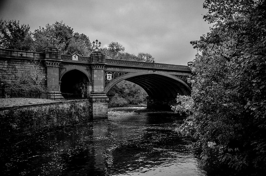 Monochrome Photo of Bridge, architecture, black-and-white, grayscale HD wallpaper