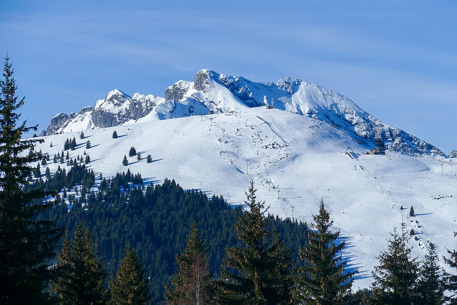 snow, mountain, forest, snowborading, skiing, french, france HD wallpaper