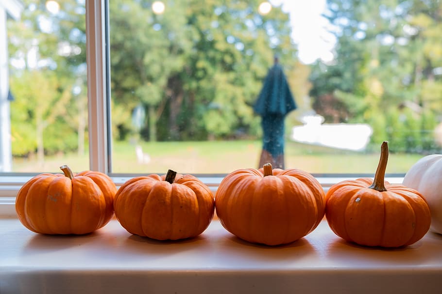 pumpkin, food and drink, vegetable, focus on foreground, orange color HD wallpaper