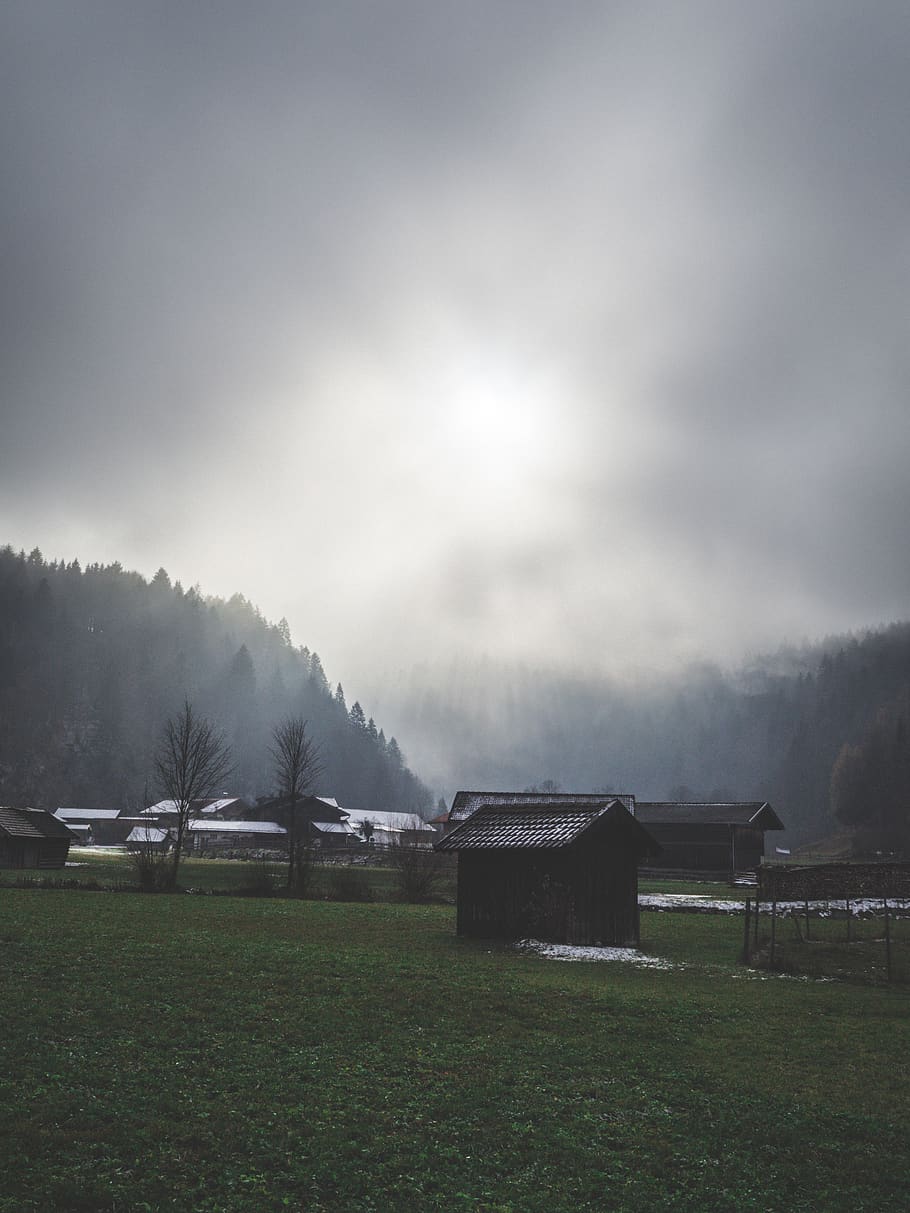 covered with fog, nature, outdoors, plant, tree, building, abies HD wallpaper