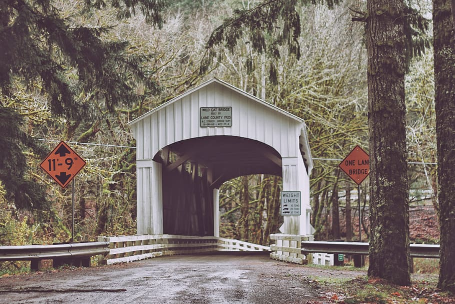 white bridge with shed, human, person, people, sign, road, lane county HD wallpaper