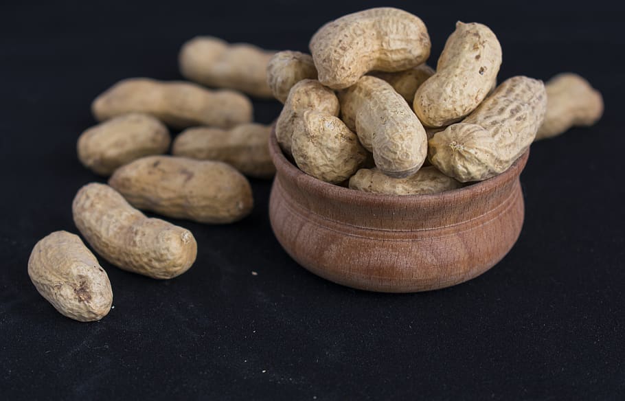 walnut, nuts, peanuts, fruit, nutrition, nutlet, healthy, illustration HD wallpaper