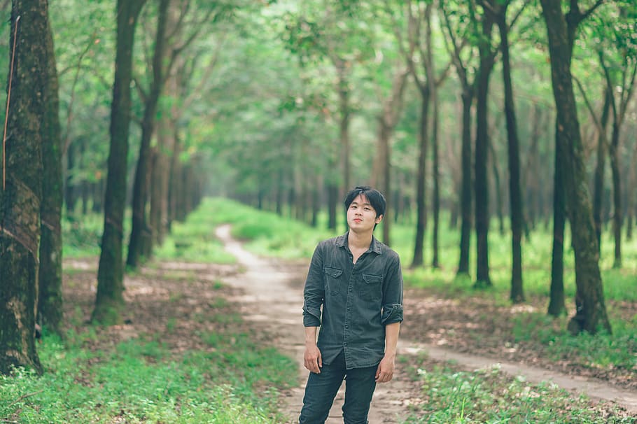 Man Wearing Black Sports Shirt Standing Between Trees, casual HD wallpaper
