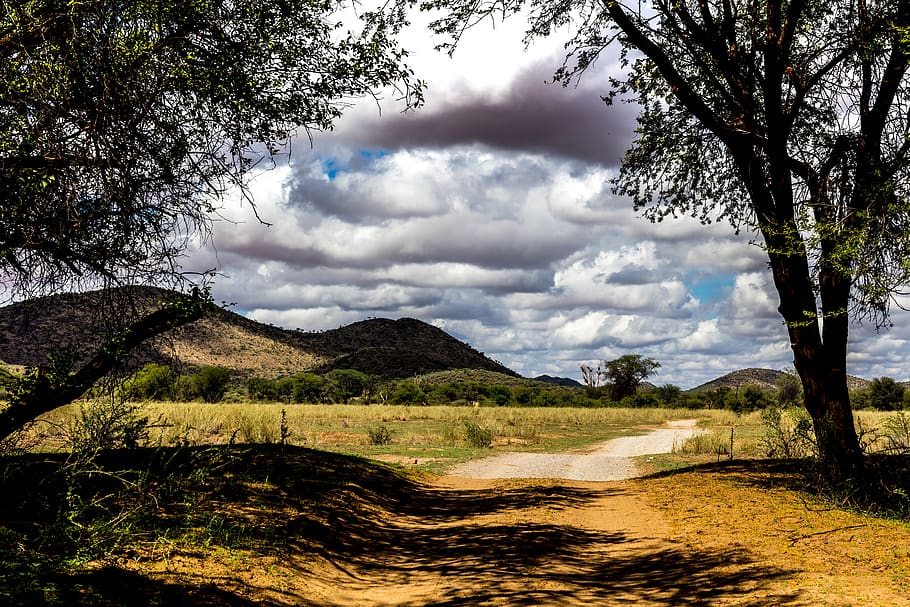 namibia, cloud - sky, tree, plant, tranquil scene, tranquility HD wallpaper