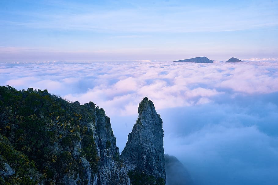 blue, sky, clouds, ridge, summit, hill, landscape, nature, tree HD wallpaper