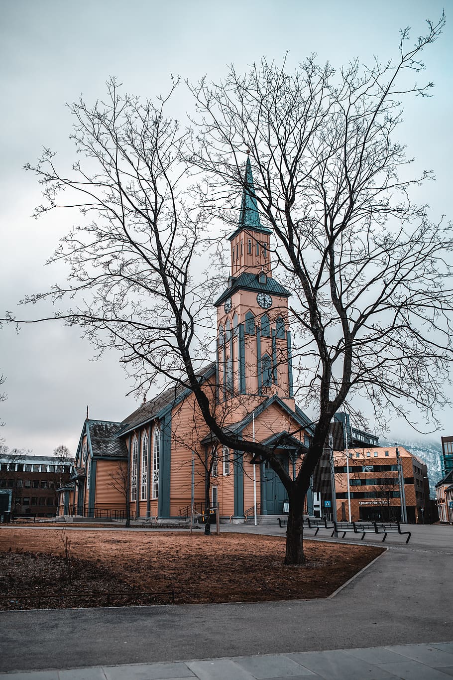 Tree Across Brown Building, architecture, church, street, tower HD wallpaper