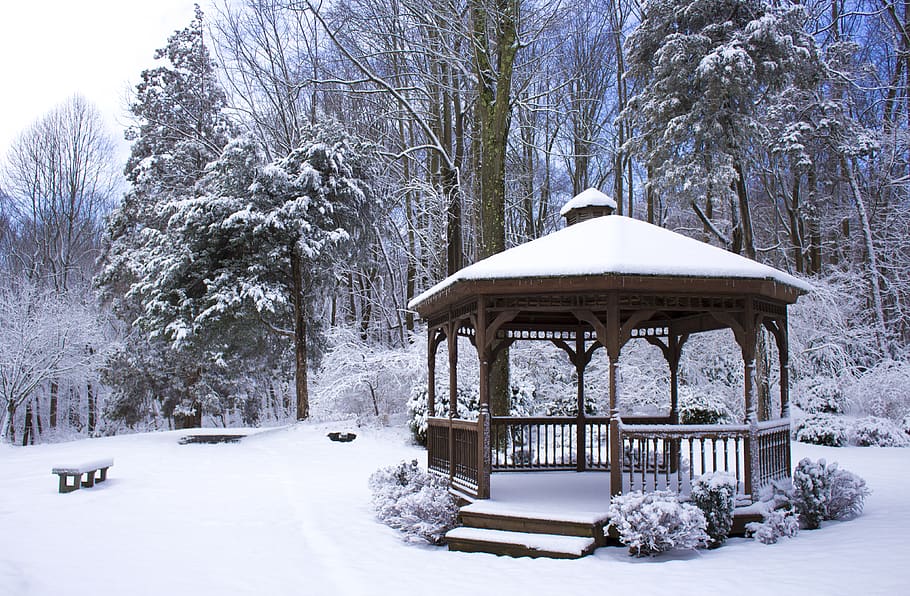 trees, snow, gazebo, winter, forest, nature, landscape, landscape photography HD wallpaper
