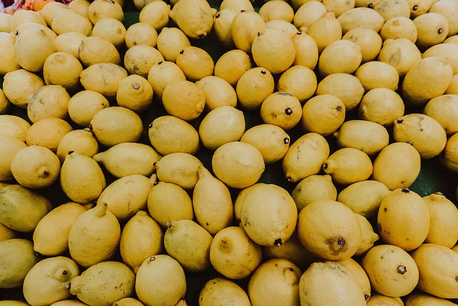 yellow lemons, plant, fruit, food, citrus fruit, mango, melon HD wallpaper