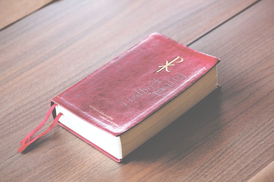 Close-up of A Bible, bookcase, cover, data, document, education HD wallpaper