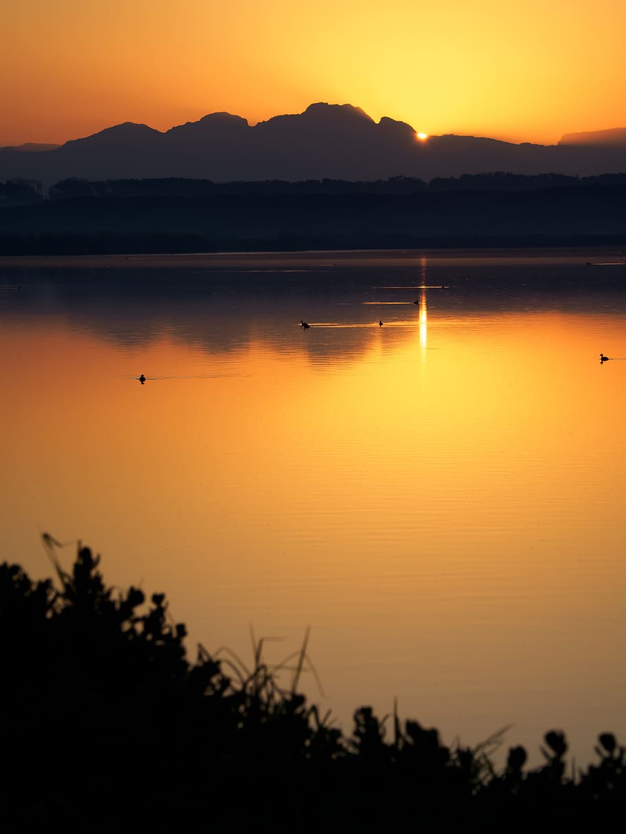 Lake During Golden Sunset, backlit, beach, beautiful, calm, Cape Town HD wallpaper