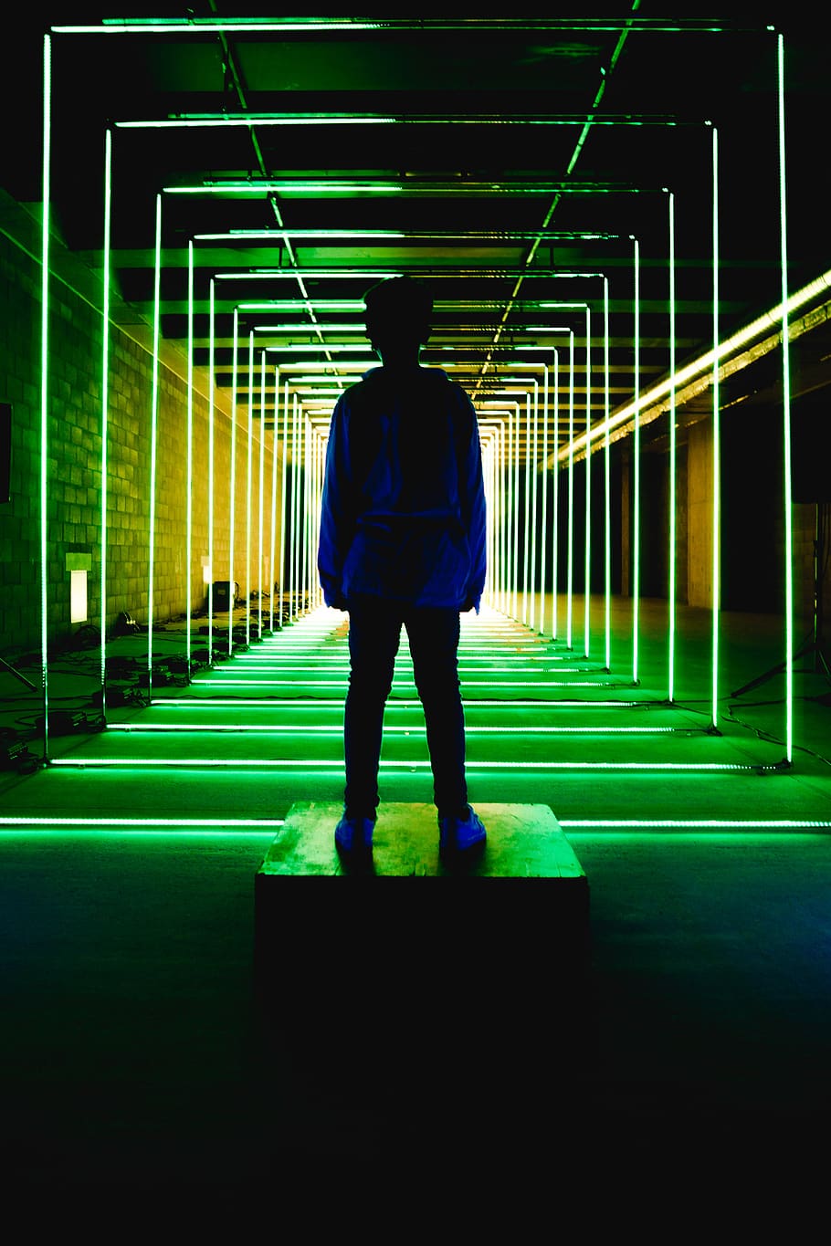 Silhouette Photo of Person Standing in Neon Lit Hallway, artsy