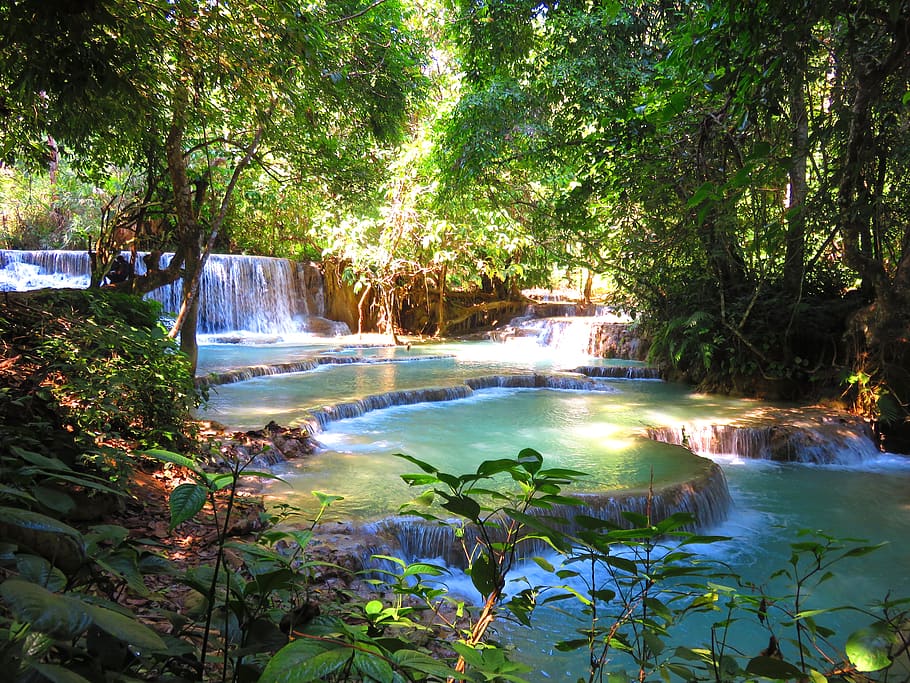 laos, ຫຼວງພຣະບາງ, kuang si waterfall, tree, HD wallpaper