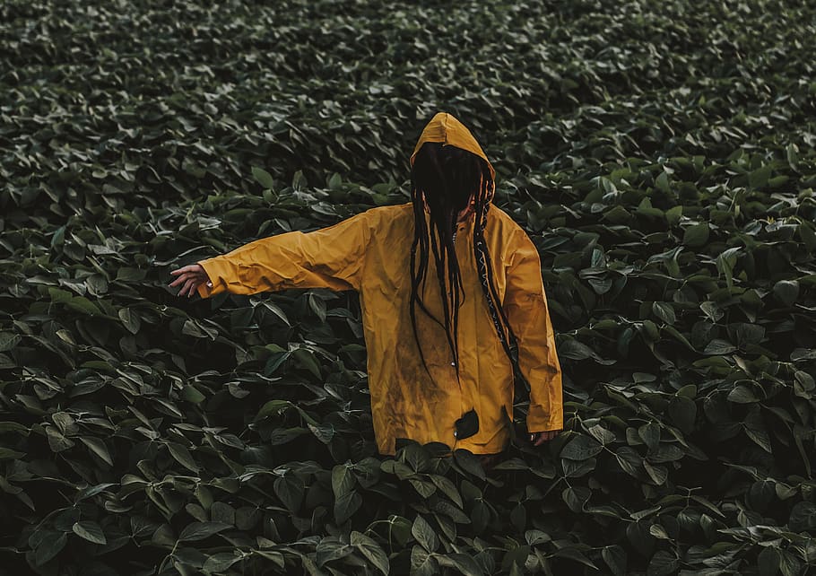 Person Wearing Yellow Raincoat Surrounded by Green Leaf Plants HD wallpaper