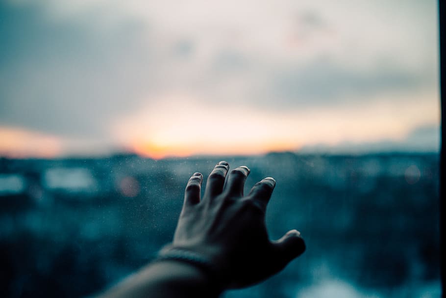 canada, london, sunset, light, hands, alxznder, portrait, human HD wallpaper