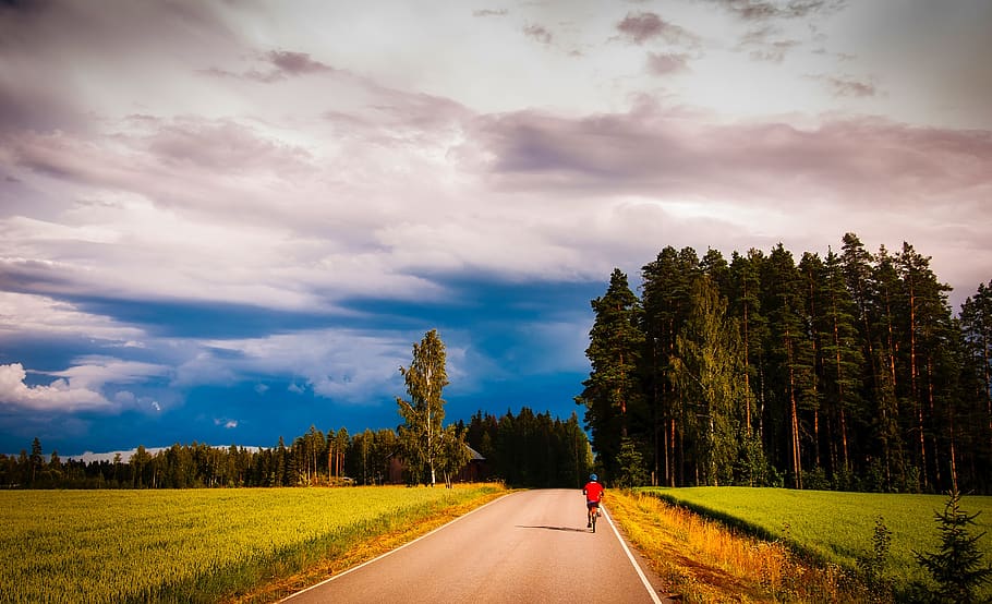 Road Amidst Trees in Forest Against Sky, bicycle, bicycling, clouds HD wallpaper
