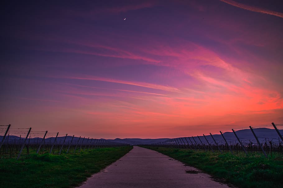 germany, bad dürkheim, blue, clouds, sunset, moon, nature HD wallpaper