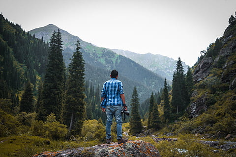 kyrgyzstan, trees, explorer, exploring, photgrapher, forest HD wallpaper
