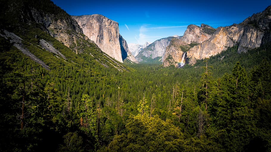 Green Forest Trees Between Beige Rock Formation Under Clear Sky during Daylight HD wallpaper