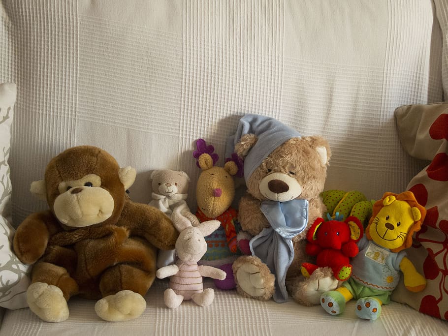 spain, madrid, toy, teddy bear, stuffed toy, representation HD wallpaper