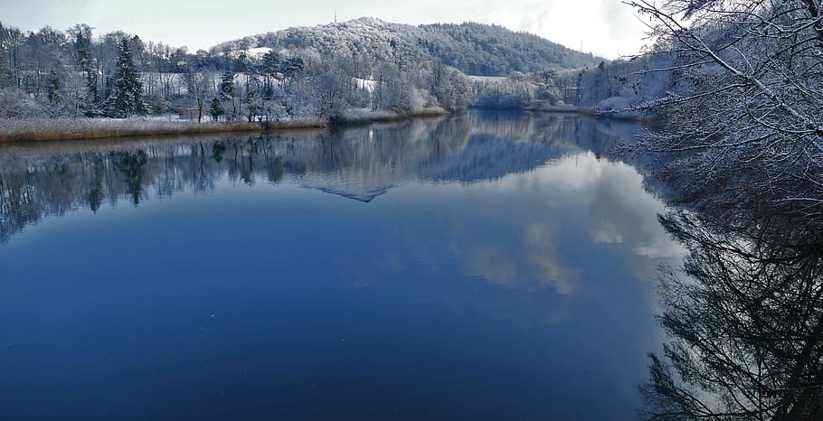 nature, landscape, winter, river, bank, wakd, trees, reed, snow HD wallpaper