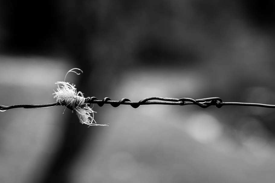 solitude, black, white, sadness, only, aesthetic, background HD wallpaper