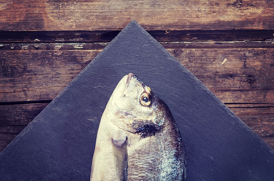 wood - material, animal, vertebrate, fish, no people, food HD wallpaper
