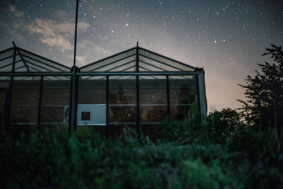 worm's-eye view photo of green house under stardust, building HD wallpaper