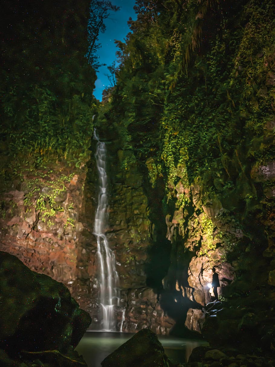 waterfalls photography, river, nature, outdoors, vegetation, plant HD wallpaper