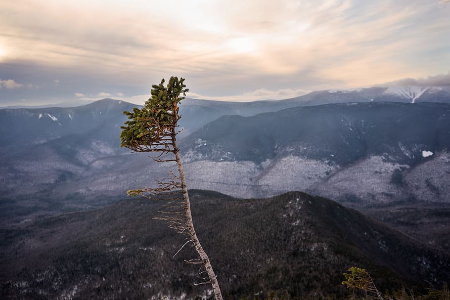 green leaf tree near mountain, outdoors, mountain range, nature HD wallpaper