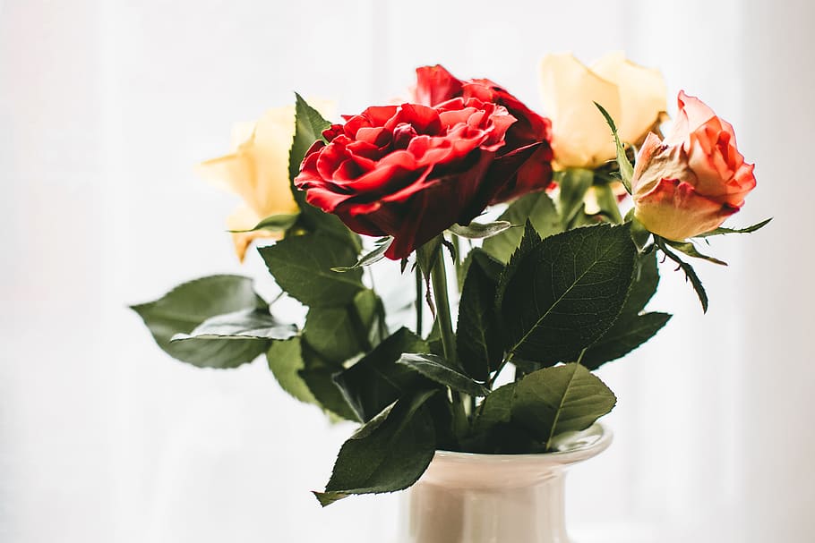 Red and White Flowers With White Vase, beautiful, bloom, blooming HD wallpaper