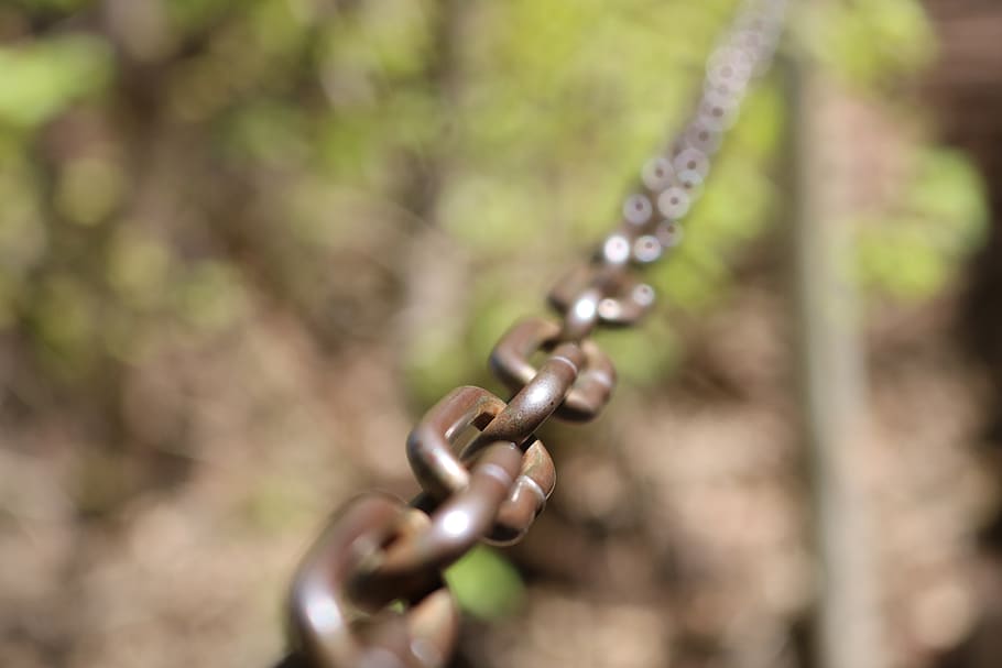chain, trees, forest, close-up, focus on foreground, plant HD wallpaper