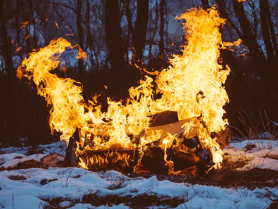 bonfire, flames, wood, logs, snow, nature, outdoors, trees HD wallpaper