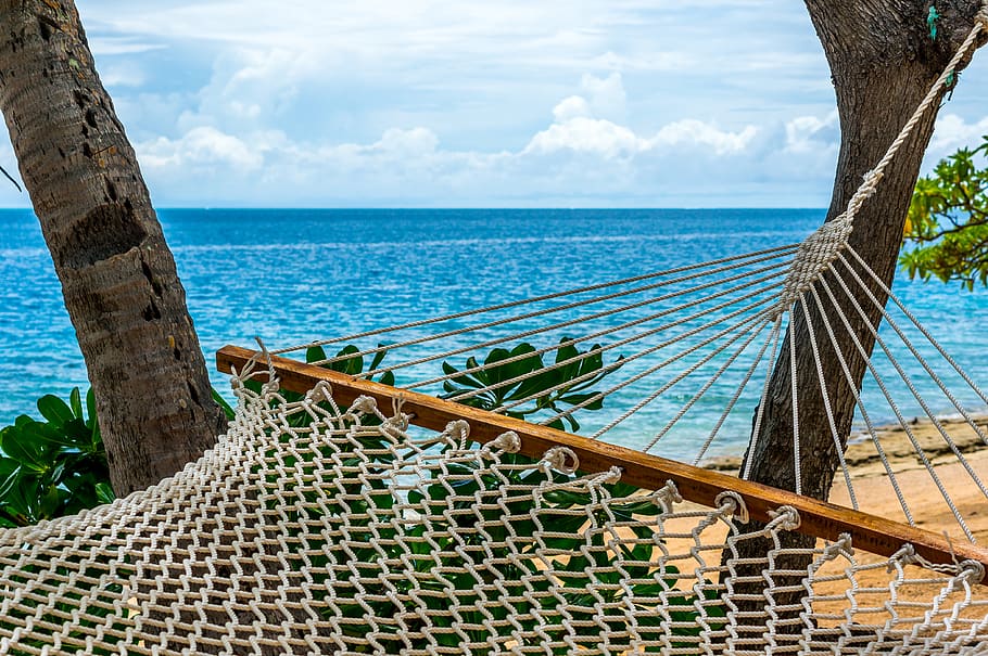 white hammock tied on tree, water, sea, sky, horizon over water HD wallpaper
