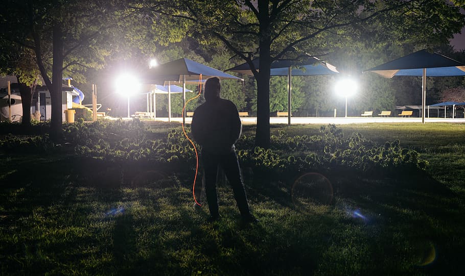 red led, plant, tree, illuminated, real people, lens flare HD wallpaper