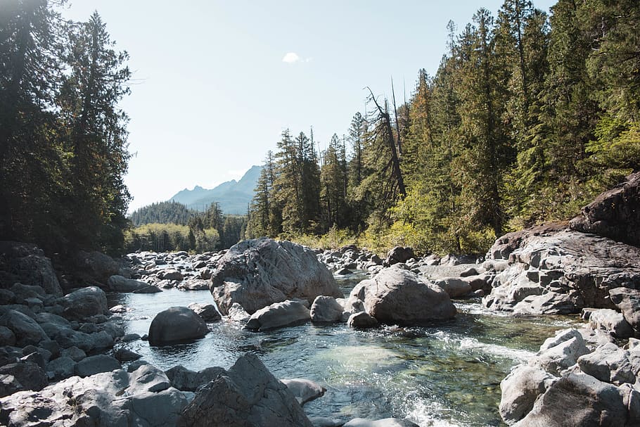 Hd Wallpaper: Canada, Wally Creek, River, Stream, British Columbia 