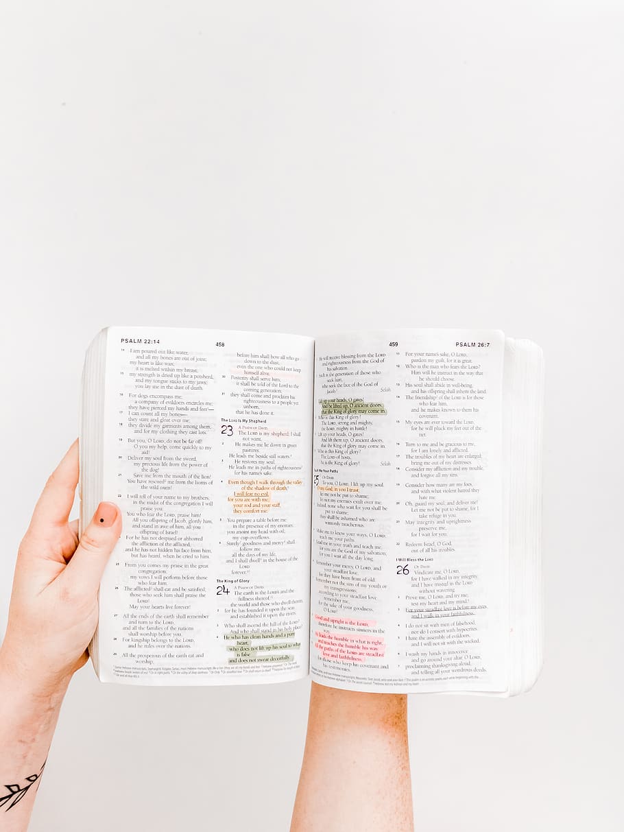 opened Holy Bible, studio shot, human body part, white background HD wallpaper