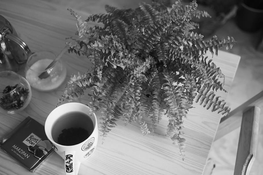 tea time, morning, time for myself, kitchen, tea facilities HD wallpaper