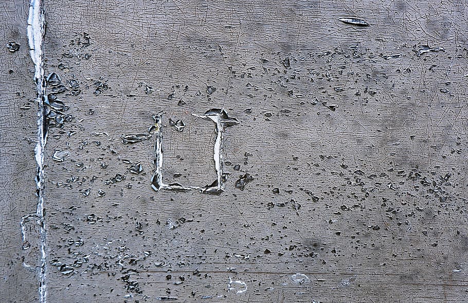 brown wooden surface, ground, bird, animal, soil, concrete, tarmac HD wallpaper