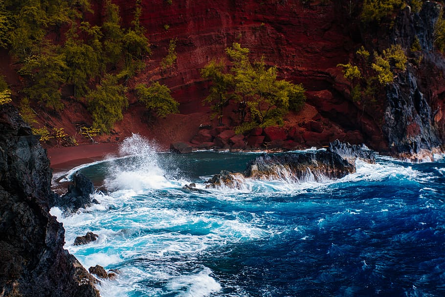 water stream surrounded with bushes, beauty in nature, motion HD wallpaper