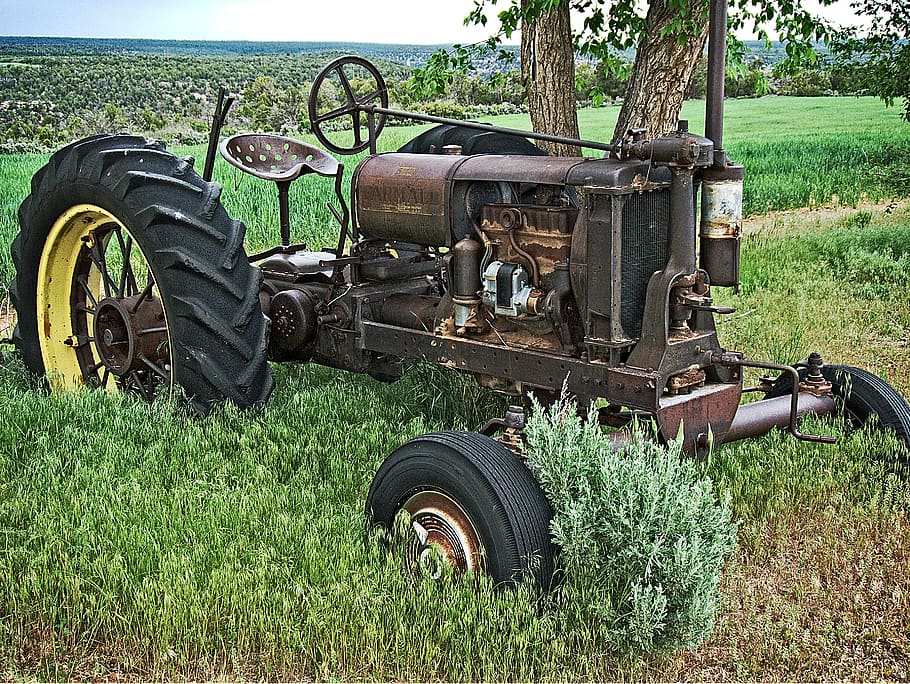 land, mode of transportation, plant, field, grass, land vehicle HD wallpaper